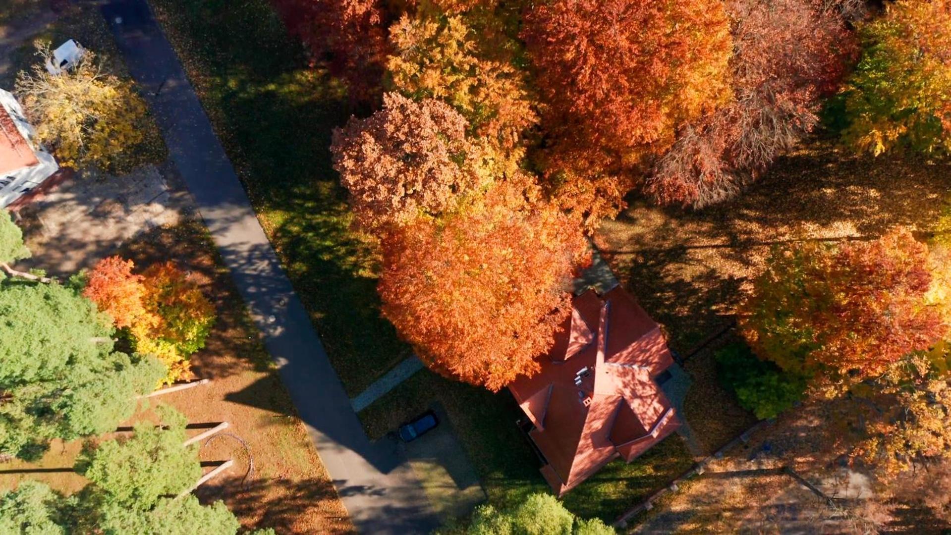 Parkresidenz Lychen, Ferienwohnung 4 ภายนอก รูปภาพ